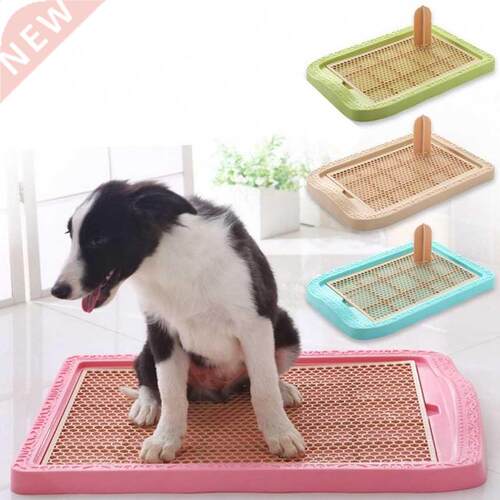 2021 New Dog Toilet Training Plastic With Pillar Teddy