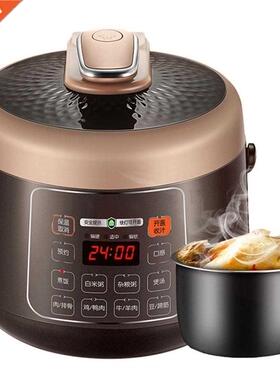 Electric Pressure Cooker Mini Electric Pressure Cooker