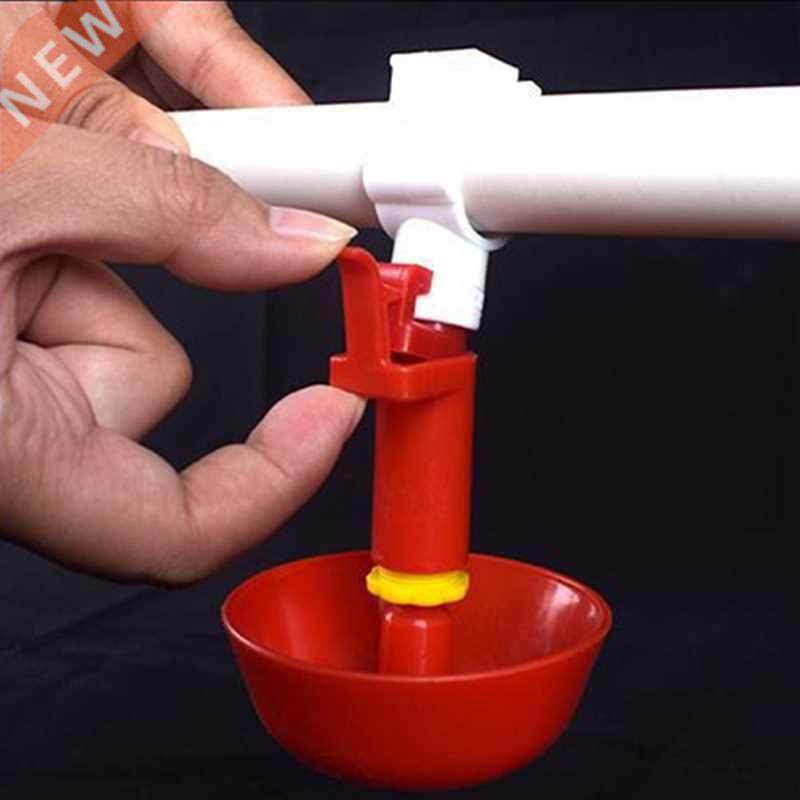Chicken Drinker Drinking Cups for Chickens Quail Chicken