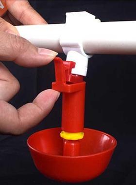 Chicken Drinker Drinking Cups for Chickens Quail Chicken