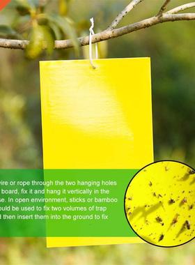 10/20/30 pcs Strong Flies Traps Bugs Sticky Board Catching A