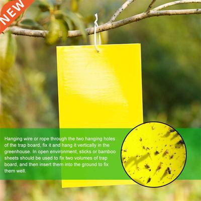 10/20/30 pcs Strong Flies Traps Bugs Sticky Board Catching A