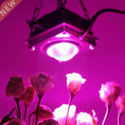 Full Spectrum Cob Grow Light 200w High Luminous Efficiency