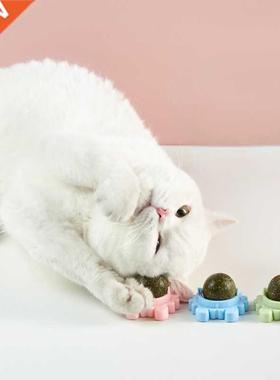 Pet Catnip Toys Edile Nature Mint all Sety Healthy Rotat