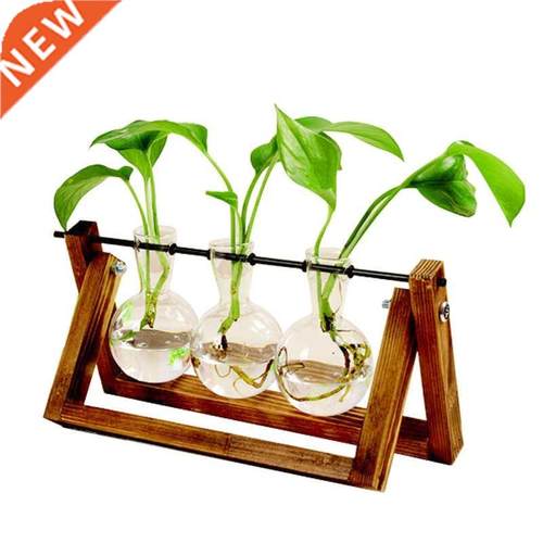 Terrarum Creatve Hydroponc Plant Transparent Vase Wooden