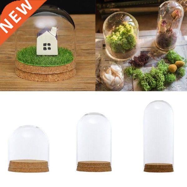 Glass Dome Cover Terrarium Bottle With Wooden Base Dust