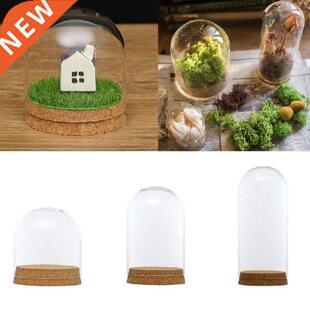 Glass Dome Cover Terrarium Bottle With Wooden Base Dust