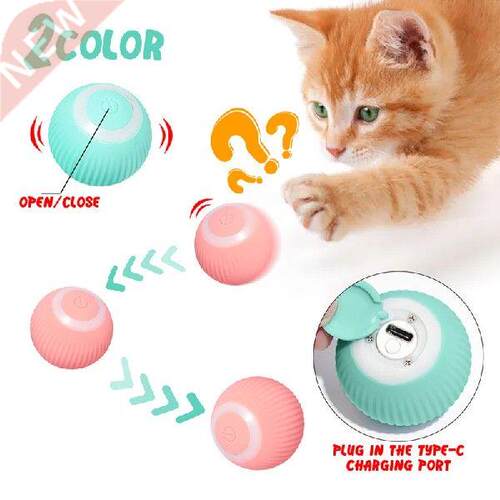 Training Self-moving Kitten Toys For Indoor Playing
