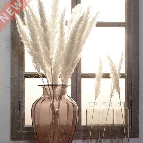 15Pcs Createive Elegant Dried Small Pampas Grass Phragmites