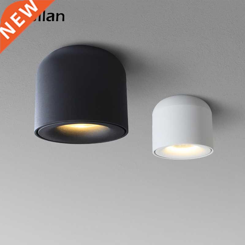 Aisilan LED Downlight Ceiling Spotlights Living Lamp Nordic