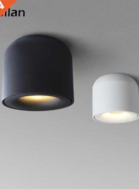 Aisilan LED Downlight Ceiling Spotlights Living Lamp Nordic