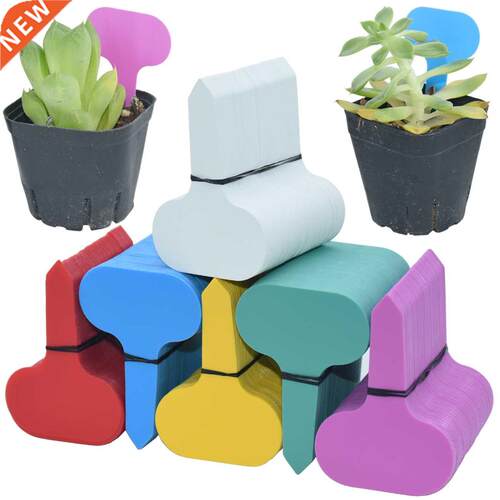 KESLA 50PCS Colorful Plant Marker 50*70MM Garden Bonsai Succ