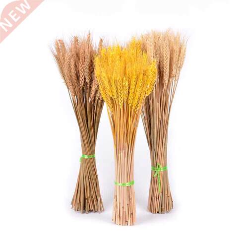50Pcs Real Wheat Natural Dried Flowers Wedding Party Decorat