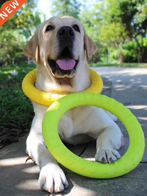 Doesn't hurt your teeth, molar dog toy, rubber cleaning toy