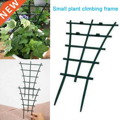 Crawling Grid Climbing Vine Bracket Plant Grid Garden Pl