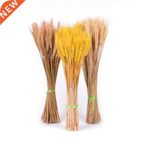50Pcs Real Wheat Natural Dried Flowers Wedding Party Decorat