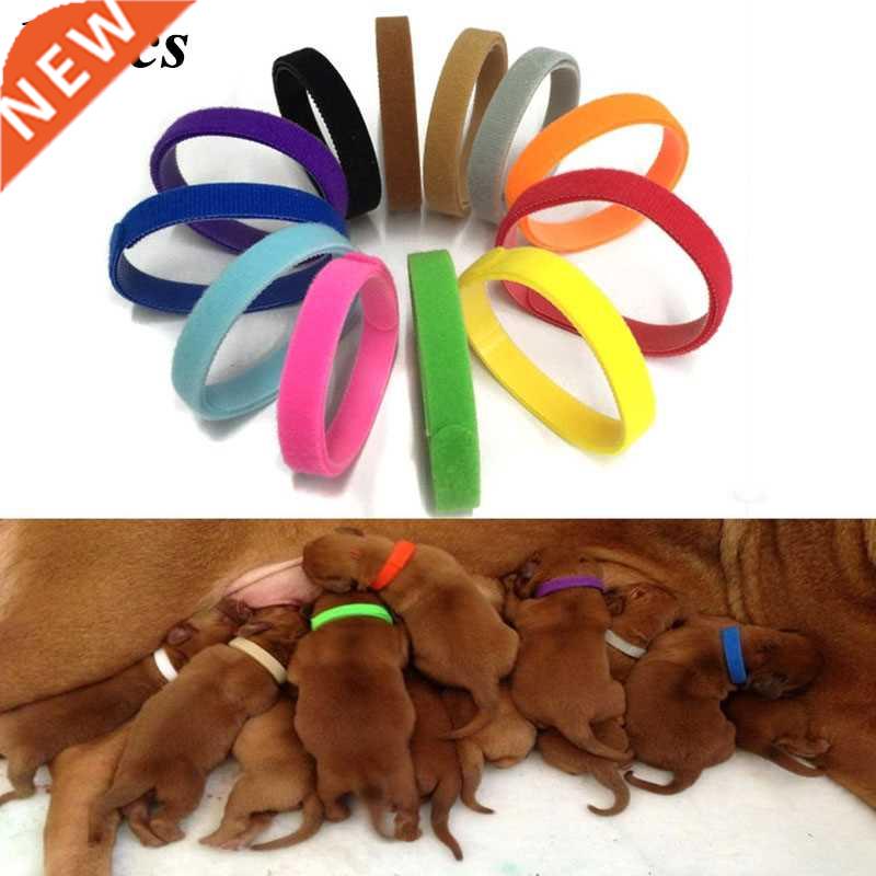 12 Pcs/Set Puppy Newborn Pets Identify Collars Adjustable Ny