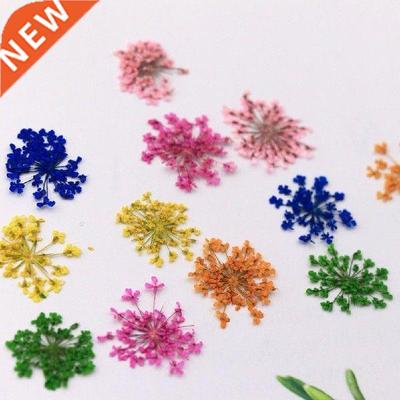 12Pcs/Set Nail Flower Decoration 3D Beautify Fingers