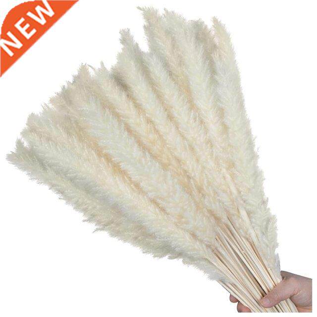 60Pcs Pampas Grass 17.72Inch, Dried Pompous Grass Pompass Br
