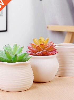 White Color Brethble Fleshy Plnter Vse Flower Pot