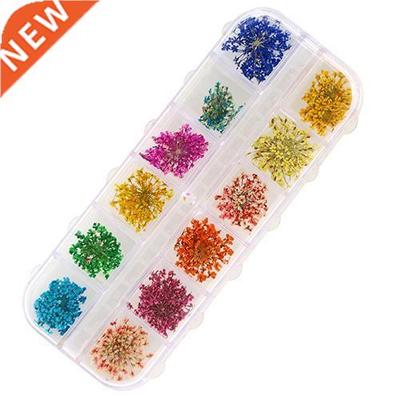 hot sale Beautiful  Kits 36Pcs 12 Colors Real Dried