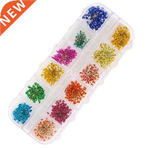 hot sale Beautiful  Kits 36Pcs 12 Colors Real Dried
