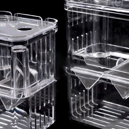 鱼缸隔离盒孔雀鱼孵化盒热带鱼小鱼幼鱼孵化盒大号小号独立