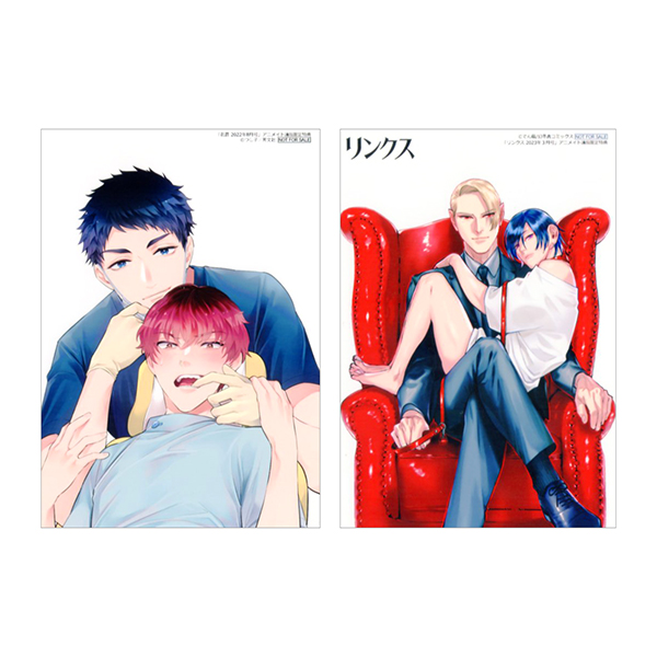 渡鸦卡卡 现货日版 でん藏 つし子 花音杂志 A店限定特典卡片相卡