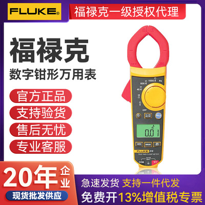 福禄克钳形电流表302+ fluke303 381 f317 F319 交直流钳形万用表