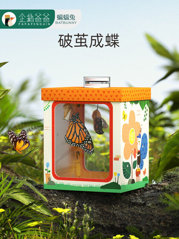 蝙蝠兔活体蝴蝶蛹孵化饲养儿童学生科普观察破蛹茧成蝶礼物宠物,宠物/宠物食品及用品,蚕宝宝,淘宝优惠券,粉丝福利购,淘宝优惠卷