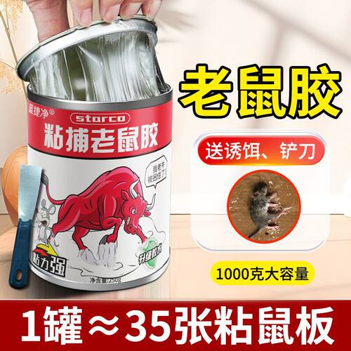 老鼠胶水家用杀老鼠贴粘鼠板强力胶粘大老鼠灭捕鼠器具一窝端