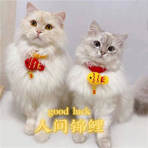 手工编织宠物毛线项圈猫咪狗狗可爱围脖年年有鱼招财纳福配饰