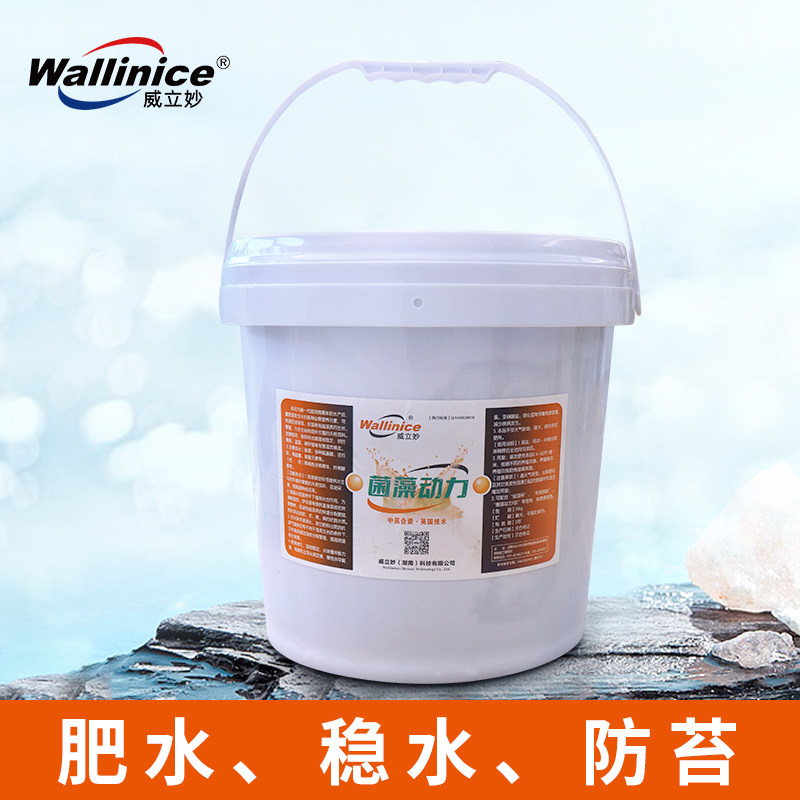威立妙菌藻动力花白鲢速长肥水膏冬季低温氨基酸水产虾蟹鱼塘培藻
