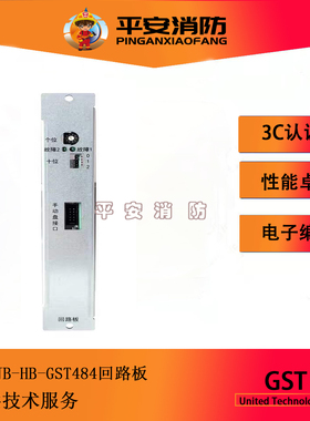 海湾GST500/5000/9000火灾报警控制器双回路板JB-HB-GST484回路板