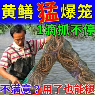 黄鳝诱食剂【千米一窝成群来】诱黄鳝小药黄鳝专用诱饵信息素饵料