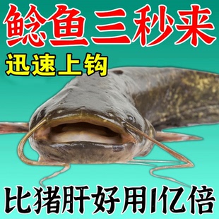 鲶鱼疯钓鱼小药鲶鱼专用野钓黑坑鲶鱼大口鲶胡子鲶诱食剂钓饵爆护