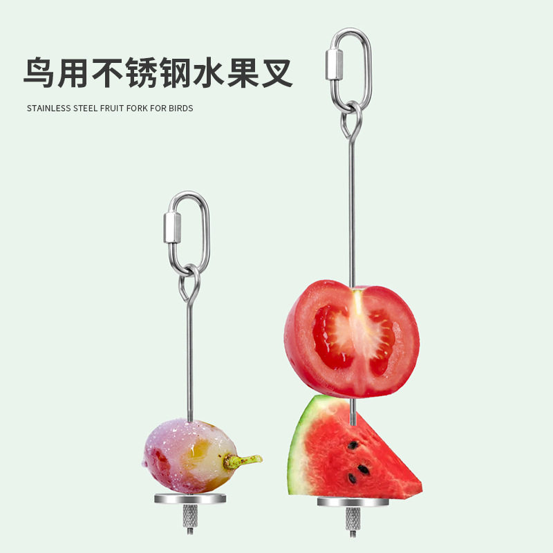 鹦鹉不锈钢水果叉蔬菜玉米苹果叉