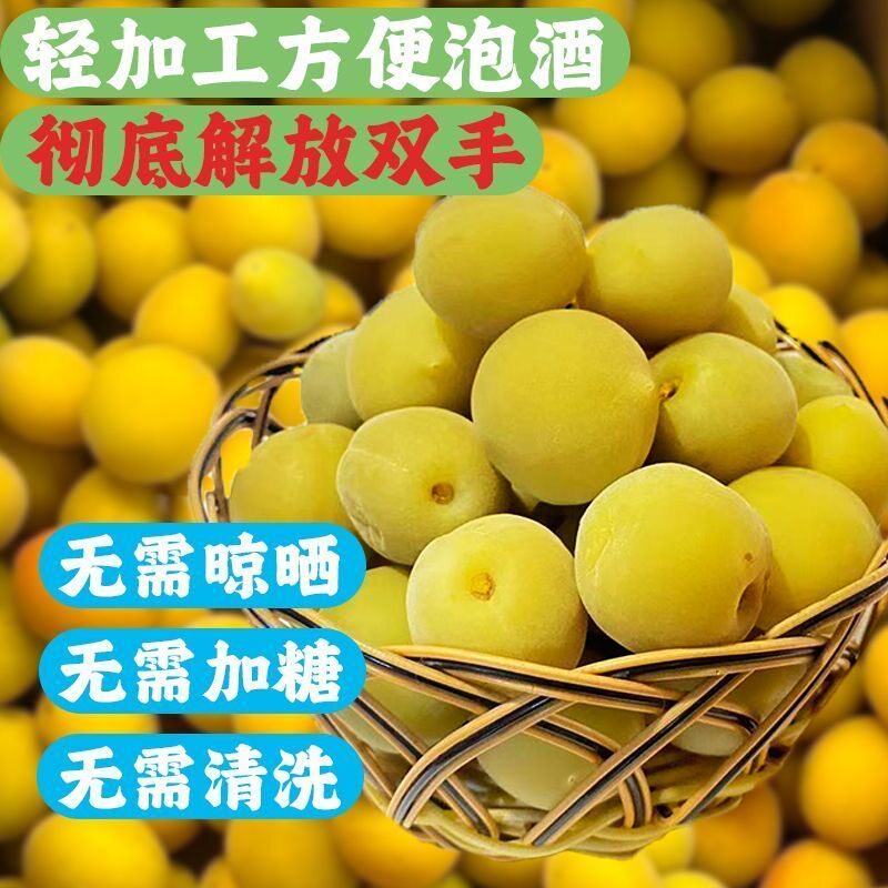 青梅泡酒专用现摘新鲜果腌制半成品休闲便捷省事爽口解腻小零食果脯蜜饯冰糖泡制解馋简单梅子酒无需处理网红款轻加工方便酸甜果干