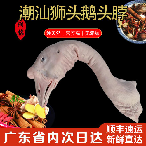 潮汕狮头鹅澄海狮头鹅鲜鹅鹅头生鲜大鹅头鹅头颈纯鹅头现杀1.5斤