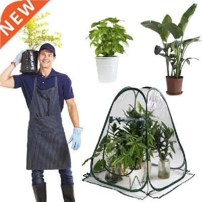 Transparent Foldable Greenhouse Mn Sunshne Room Seedlng