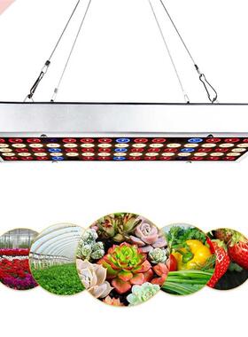 1000W Full Spectrum Indoor LED Grow Lamp For Plant Growing