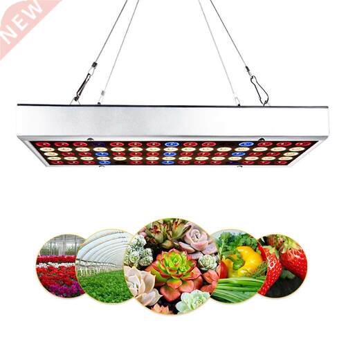 1000W Full Spectrum Indoor LED Grow Lamp For Plant Growing