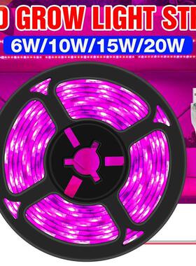 LED Full Spectrum Phyto Lamp USB 5V Grow Light Strip 0.5m 1m