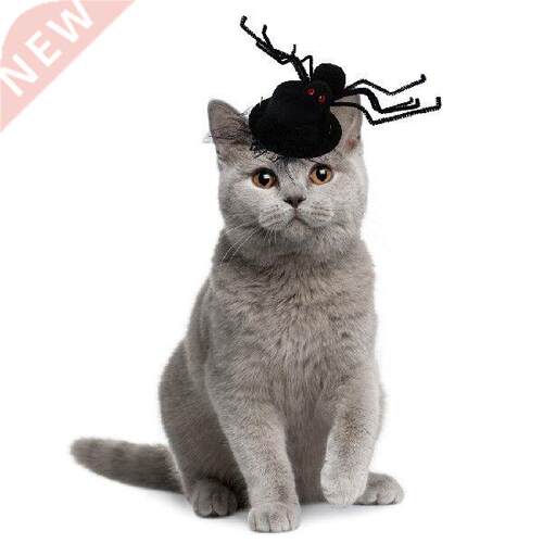 Funny Cute Halloween Pet Hat Decorative Spider Dog Cat