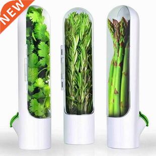 Vanilla Fresh Keep Cup Storage Box Keep Green Vegetables