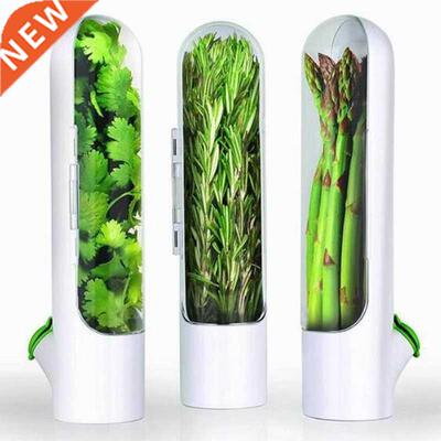 Vanilla Fresh Keep Cup Storage Box Keep Green Vegetables