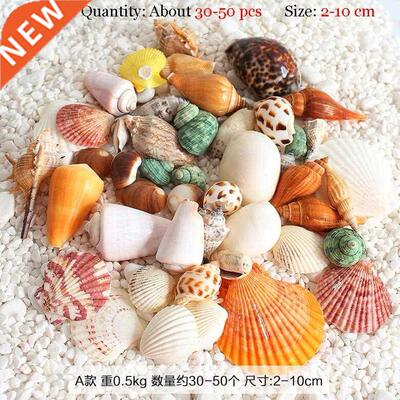 Natural Mediterranean colorful sea shells starfish set fish