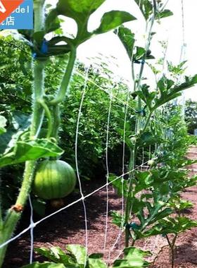 Plant Trellis Netting Heavy-Duty Polyester Plant Support Vin