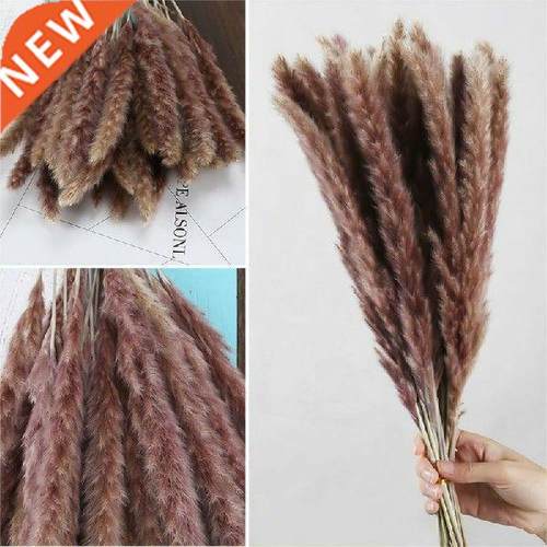 30pcs 45cm Natural Pampas Reed Grass Bouquet Bunch Desktop