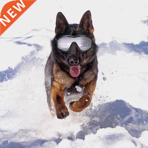 Foldable Pet Dog glasses medium Lge Dog pet glasses Pet